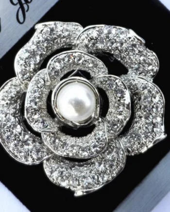 Brosa eleganta, cu cristale - model 6
