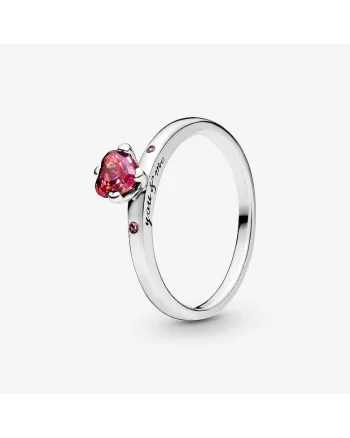 Inel  cu inima rosie You and Me din Argint 925 si Zirconiu, Rosu/Argintiu
