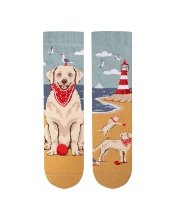 Sosete din bumbac Arty Socks cu Golden Retriever, Multicolor, Multicolor