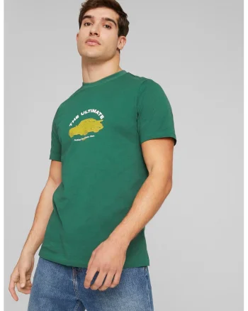 Tricou regular fit cu imprimeu, din amestec de bumbac, Verde/Galben mustar