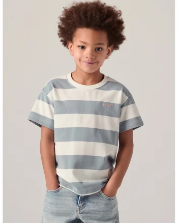 Tricou din amestec de bumbac cu model in dungi, Albastru prafuit/Alb murdar