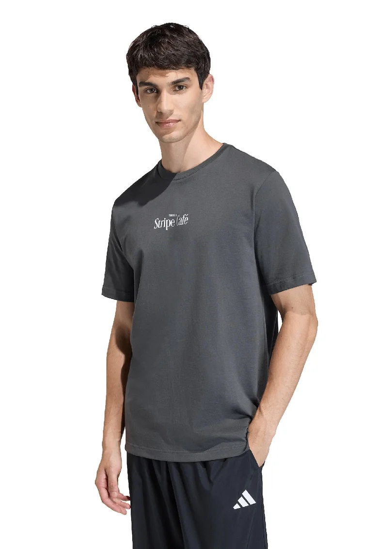Tricou din bumbac cu imprimeu pe partea din spate, Alb/Albastru/Gri antracit