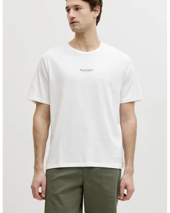 Tricou din bumbac cu imprimeu pe partea din spate, Verde pal/Alb optic