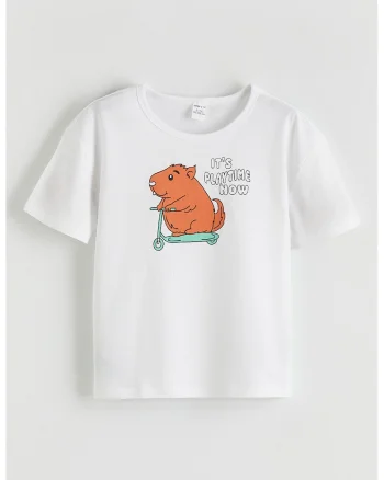 Tricou lejer de bumbac cu imprimeu frontal, Alb/Turcoaz/Caramiziu