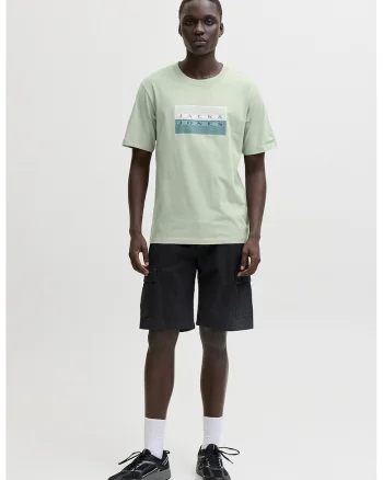 Tricou regular fit de bumbac cu imprimeu logo, Verde pal