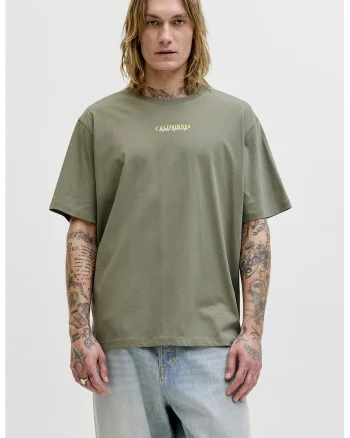 Tricou regular fit cu imprimeu pe spate, Verde pal