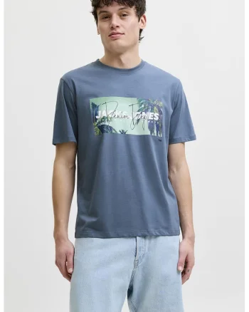 Tricou regular fit cu imprimeu grafic, Albastru prafuit