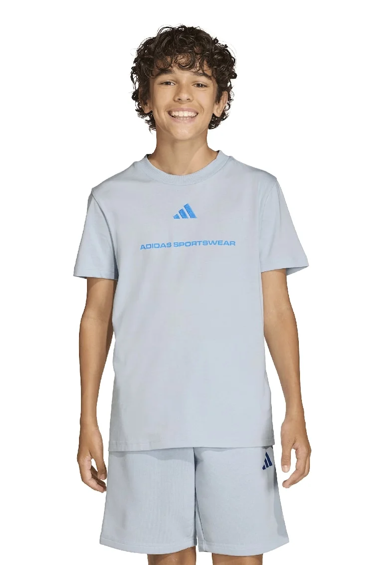 Tricou din bumbac cu decolteu la baza gatului, Gri deschis/Albastru deschis