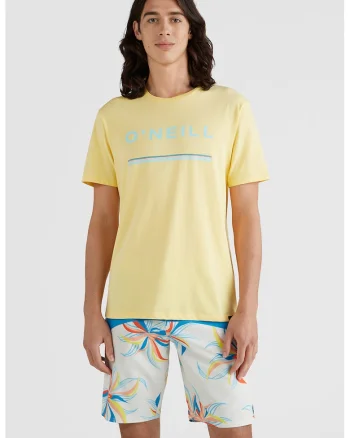 Tricou regular fit de bumbac Arrowhead, Galben pal