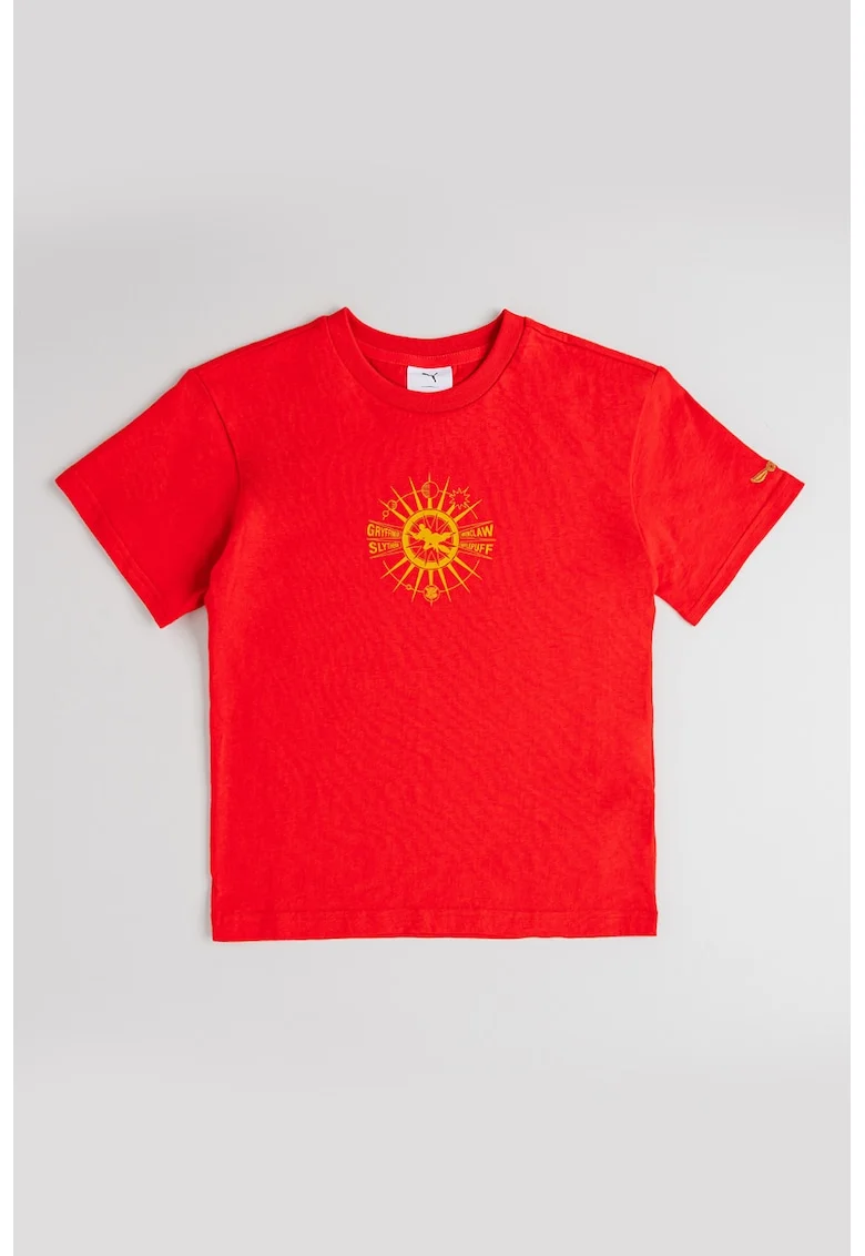 Tricou relaxed-fit cu model tematic Harry Potter, Rosu/Maro deschis
