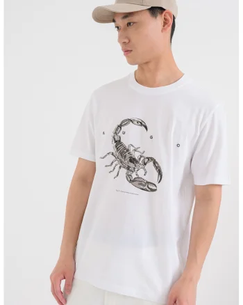 Tricou cu imprimeu grafic Discorb, Negru/Maro taupe/Alb optic