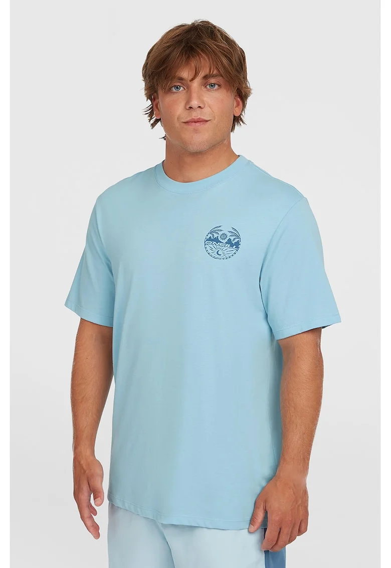 Tricou regular fit cu imprimeu, Albastru pastel/Albastru lavanda