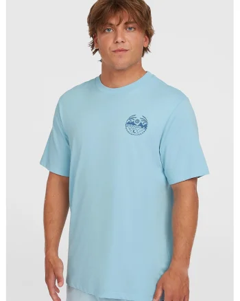 Tricou regular fit cu imprimeu, Albastru pastel/Albastru lavanda