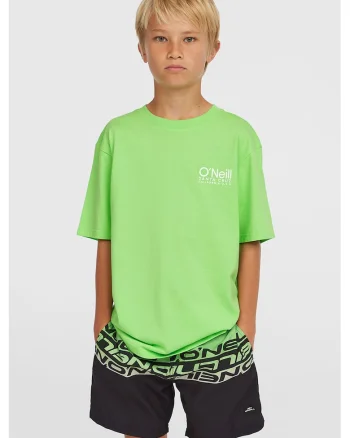 Pantaloni scurti de baie cu imprimeu logo, Verde/Negru stins/Alb optic