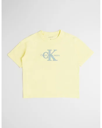 Tricou cu logo si decolteu la baza gatului, Albastru prafuit/Galben pai