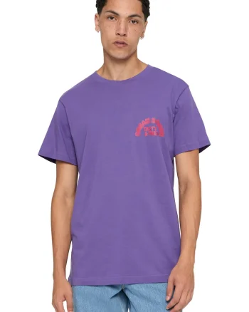 Tricou din bumbac cu imprimeu pe partea din spate, Portocaliu/Ametist