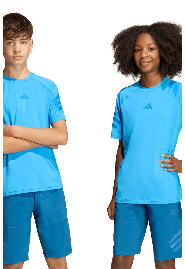 Tricou unisex cu decolteu la baza gatului si logo discret, Albastru