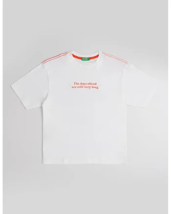 Tricou de bumbac cu imprimeu, Alb/Caramiziu/Albastru