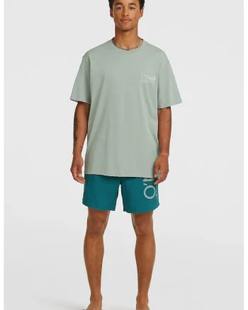 Pantaloni scurti de baie cu talie joasa si imprimeu logo, Verde persan