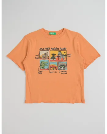 Tricou din bumbac cu imprimeu si decolteu la baza gatului, Portocaliu stins