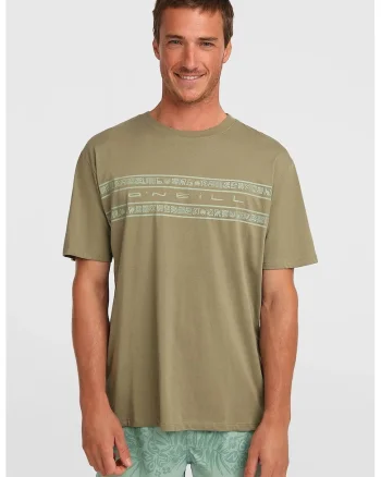 Tricou de bumbac cu dungi Flower, Kaki