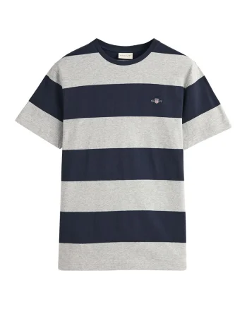 Tricou cu decolteu la baza gatului si model in dungi, Gri deschis/Bleumarin