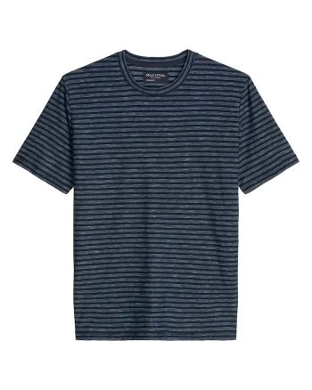 Tricou din bumbac cu model in dungi, Albastru