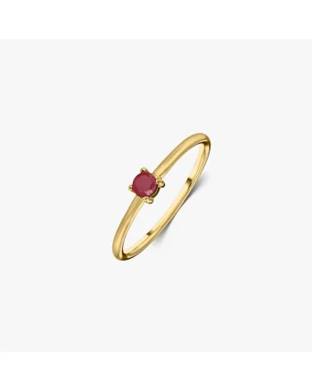 Inel din argint Birthstone Golden July - Rubin