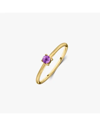 Inel din argint Birthstone Golden February - Ametist