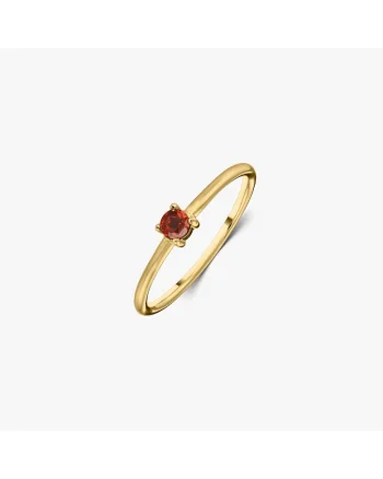 Inel din argint Birthstone Golden January - Granat