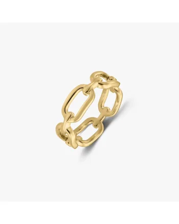 Inel din argint Golden Chain