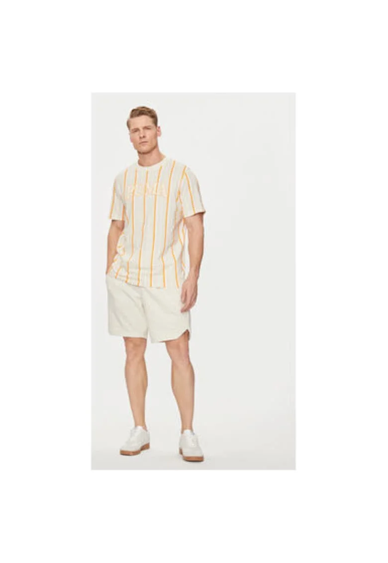 Tricou barbati,  303326043, Bumbac, Bej, Bej