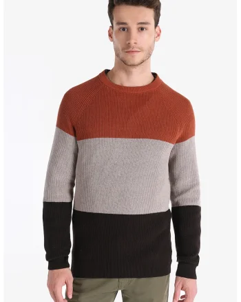 Pulover cu decolteu la baza gatului si maneci raglan, Negru/Maro taupe deschis/Caramiziu
