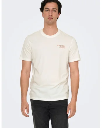 Tricou regular-fit din bumbac organic cu imprimeu pe partea din spate, Portocaliu/Alb murdar