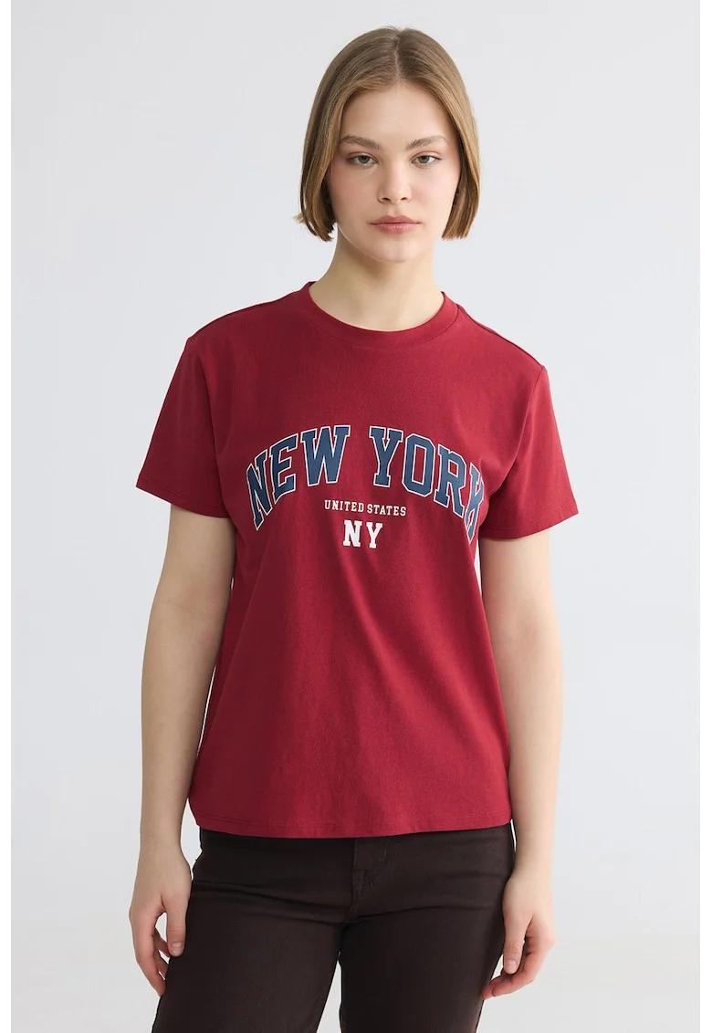 Tricou regular-fit cu imprimeu, Rosu inchis/Albastru