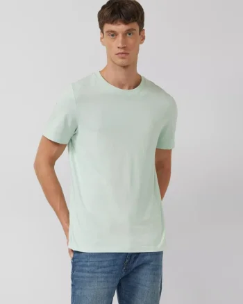 Tricou barbati din bumbac, Regular fit, Verde deschis