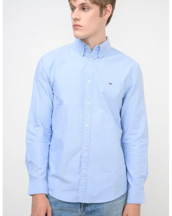 Camasa Oxford cu croiala regular-fit, Albastru lavanda