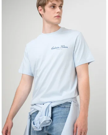 Tricou cu decolteu la baza gatului si logo brodat discret, Albastru glaciar