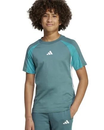 Tricou de bumbac cu maneci raglan, Verde persan