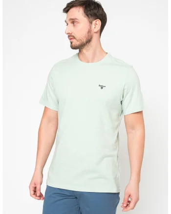 Tricou din bumbac cu decolteu la baza gatului, Verde menta