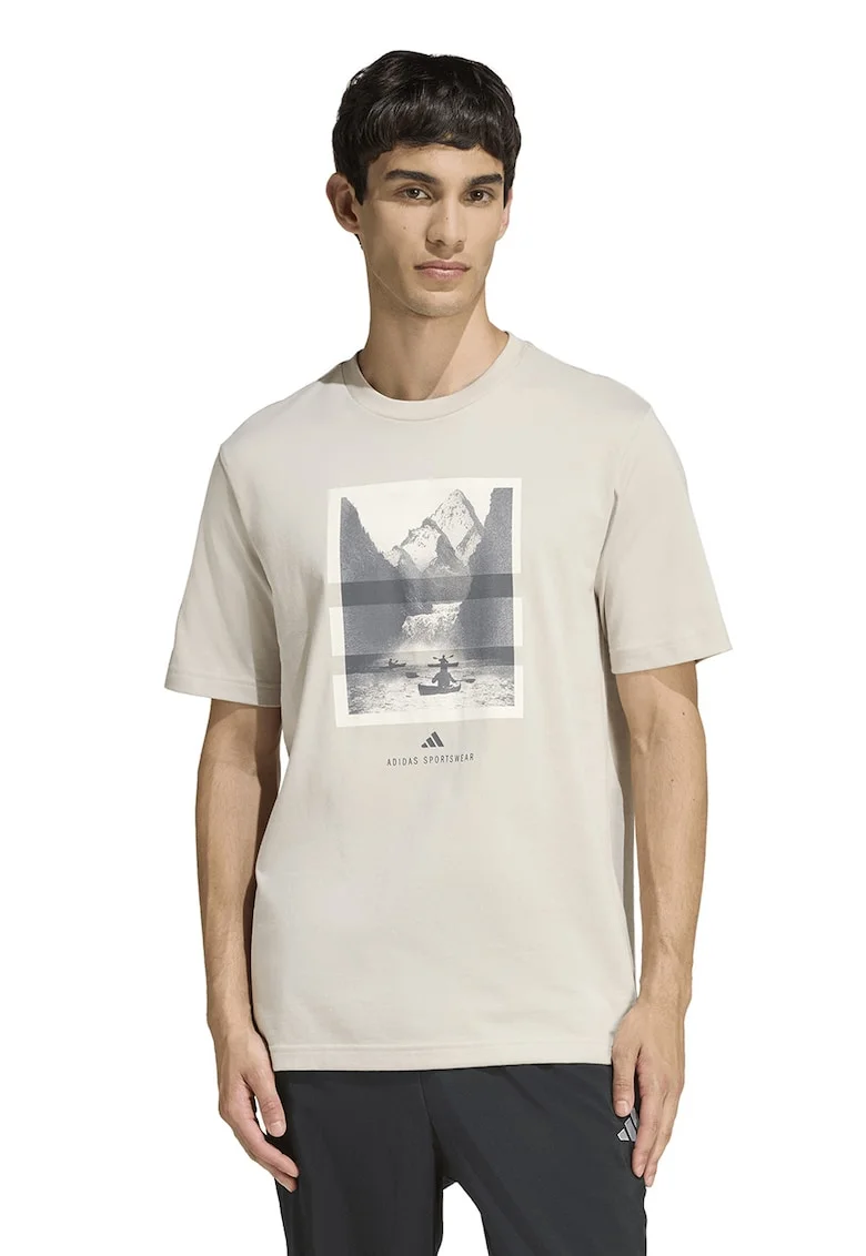 Tricou regular fit cu imprimeu grafic, Alb/Alb fildes/Gri inchis