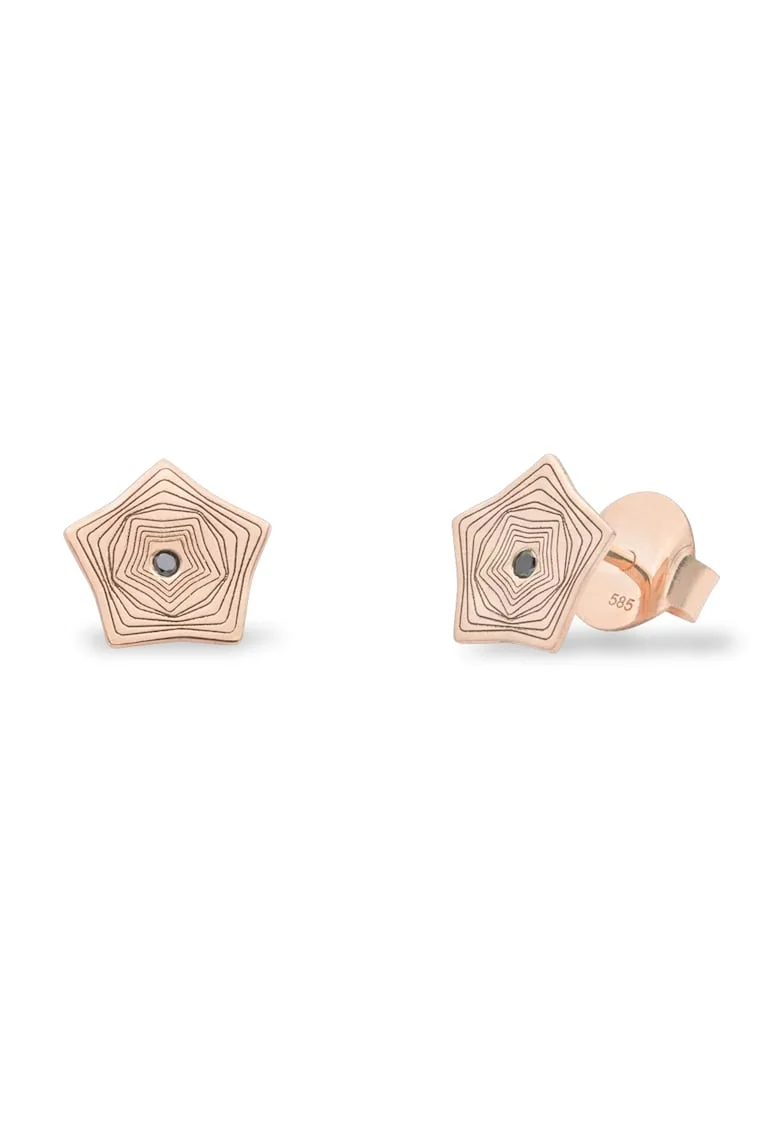 Cercei mini NORTHERN LIGHTS cu diamante negre, aur 14K