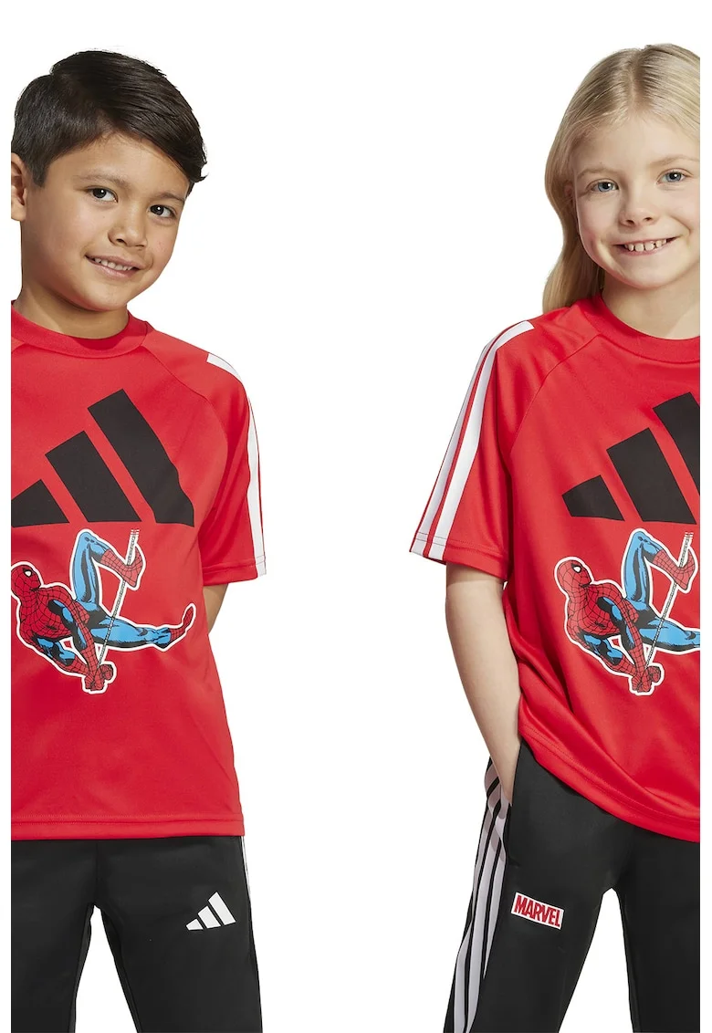 Tricou cu imprimeu cu Spider Man, Rosu/Negru/Albastru