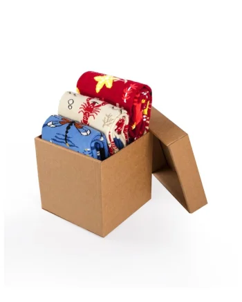 Set 3 perechi de sosete bumbac Fine Cotton Sealife Lobster, Libelula, Steluta de Mare
