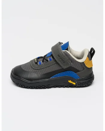 Pantofi sport low-cut cu tehnologie Gore-Tex, Albastru/Gri inchis