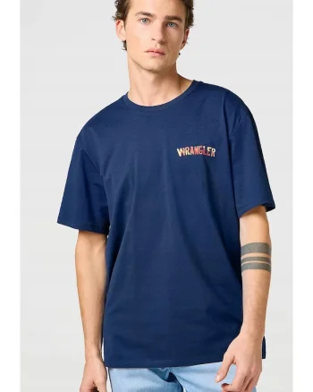 Tricou barbati,  BIG GRAPHIC TEE, bumbac, albastru, maneca scurta