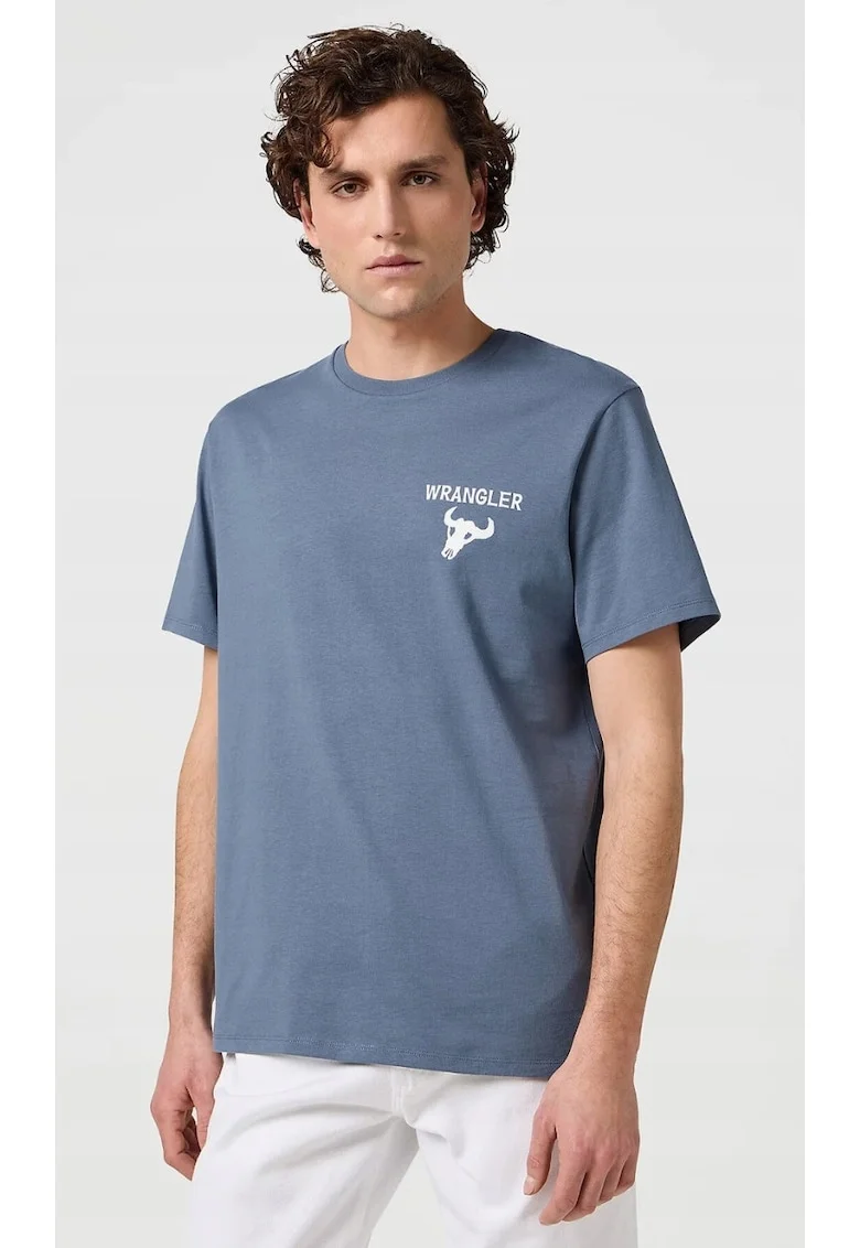 Tricou de barbati,  GRAPHIC TEE, bumbac, albastru, maneca scurta