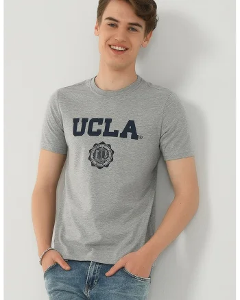 Tricou cu imprimeu logo Gayley, Gri melange/Bleumarin