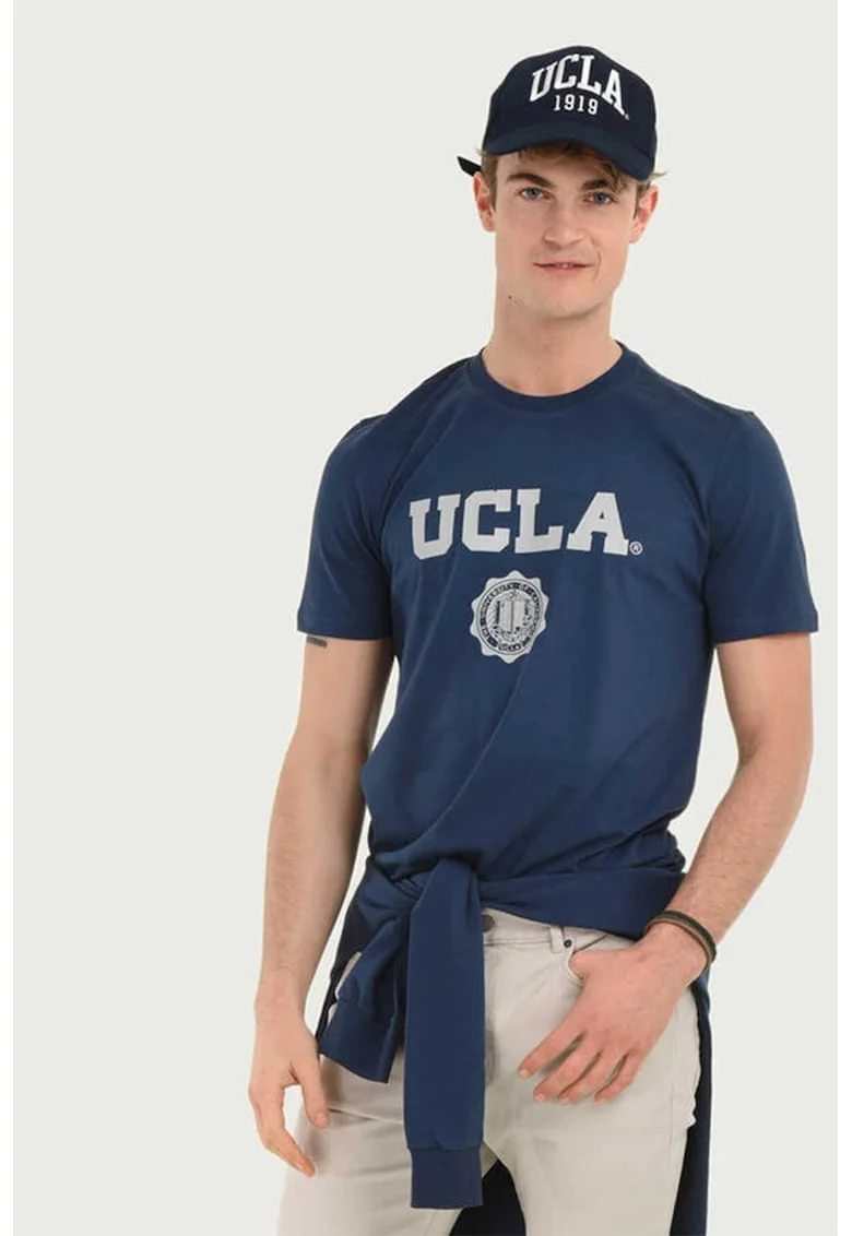 Tricou cu imprimeu logo Gayley, Gri/Albastru inchis