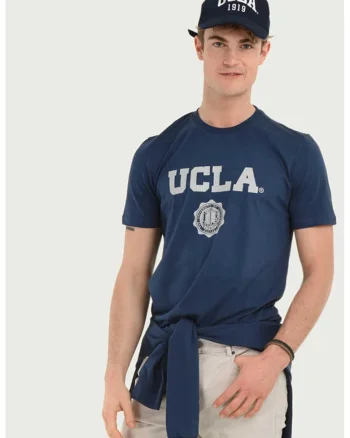 Tricou cu imprimeu logo Gayley, Gri/Albastru inchis